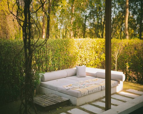 Relaxed visual experience outdoors with soft sunlight